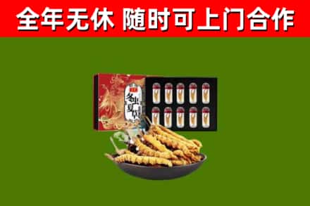 洪雅烟酒回收冬虫夏草礼盒.jpg